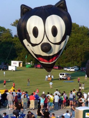Felix the cat looks over the crowd