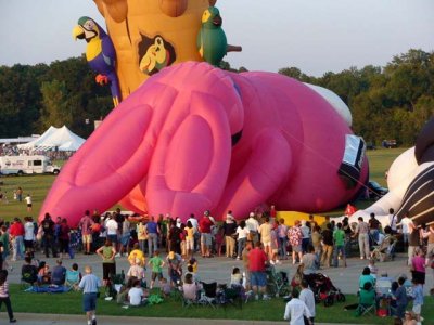 Pink balloon?  Willow, did you have something to do with this?