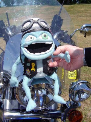Crazy frog wants to be fed