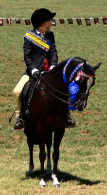 g3/20/624720/3/55947696.Bestboyrider.jpg