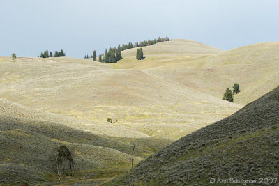 Yellowstone Hills