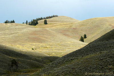 Yellowstone Hills