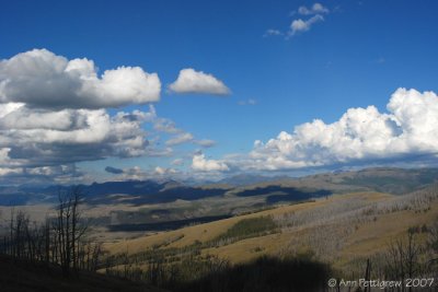 Yellowstone Sky