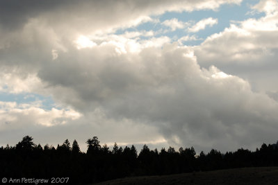 Yellowstone Sky