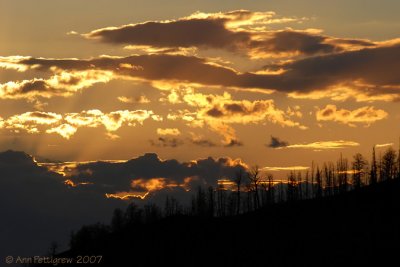 Yellowstone Sunset