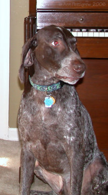 Rook - My Baby Boy