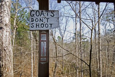 Goats dont shoot,        No NRA members in this herd.  LOL