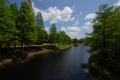 DSC_8108.JPG