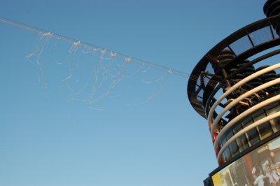 DSC_3123.JPG
