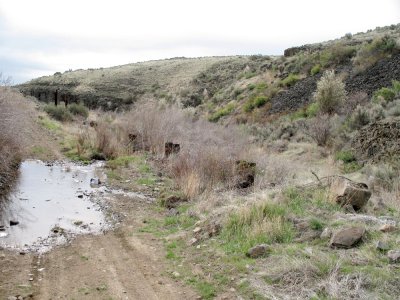 Remains of railroad trestle in Douglas Creek Canyon.