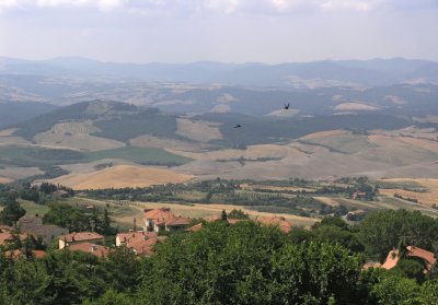 volterra3