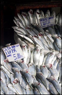 Fish Market - Galata Bridge