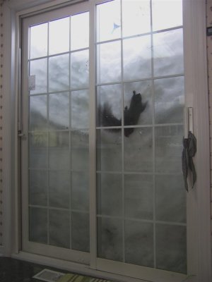 Parti en vacances de retour à la fonte des neiges (cause écoeurantite aigüe)