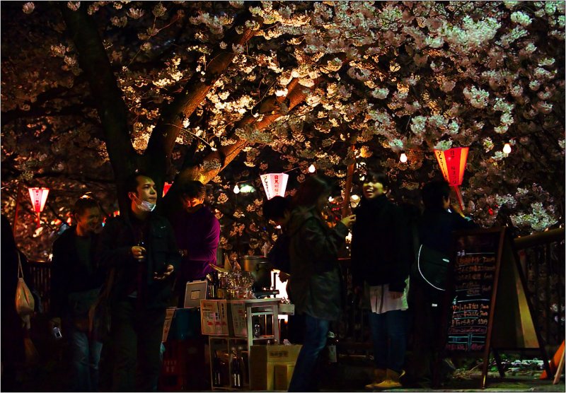 Nakameguro Hanami