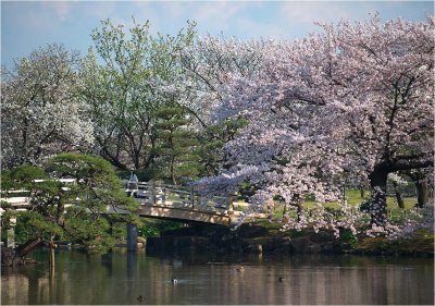 Hamarikyu Koen