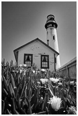 Pigeon Point Light Station