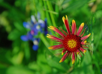 DSC_2683.JPG