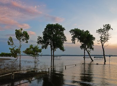 Hope those trees would survive.