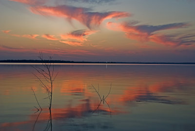 Dead bush, clouds, & water