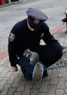 New York's Finest