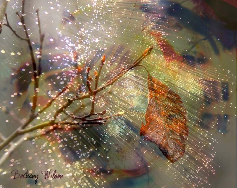dead leaf pizzazz