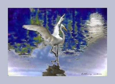 dancing egret.