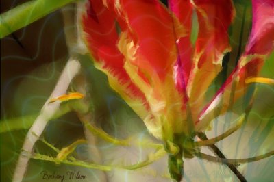 flower fantasy