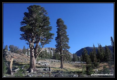 Yosemite08.jpg