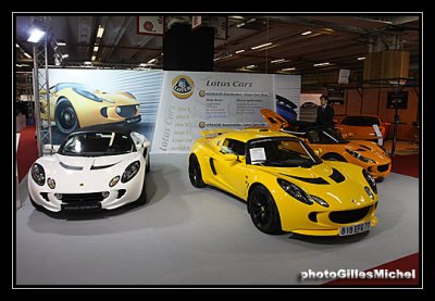 LOTUS1.jpg