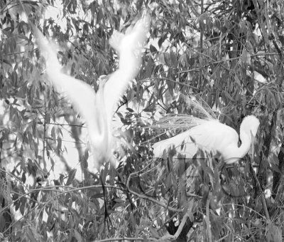 DPP_10035543 copy.jpg