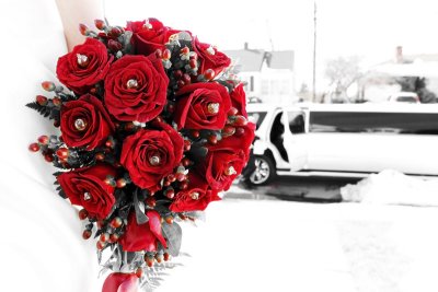 g3/20/807920/3/124499675.VoS0kRS4.jpg