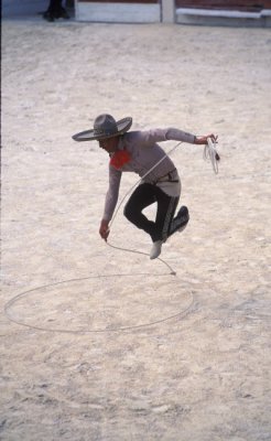 g3/20/807920/3/89889992.YJU8Qe1A.jpg