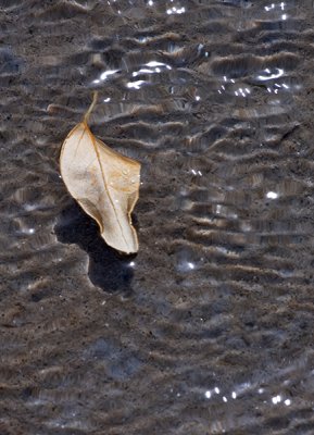 photo_a_day
