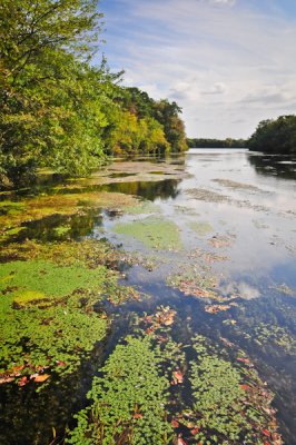 Quogue Wildlife Refuge 1