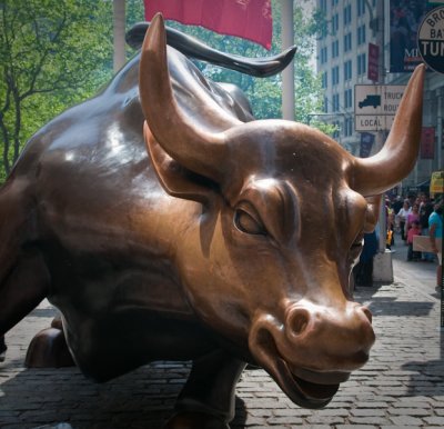 A Bull on Wall Street