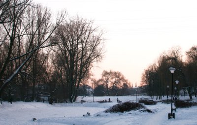 Krolikarnia Park - frozen lakes