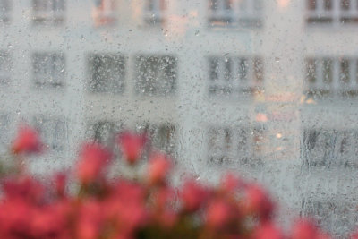spring rain.jpg