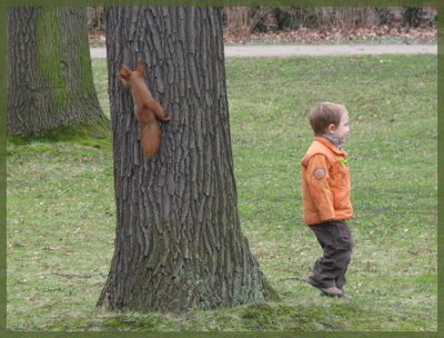 What squirrel?