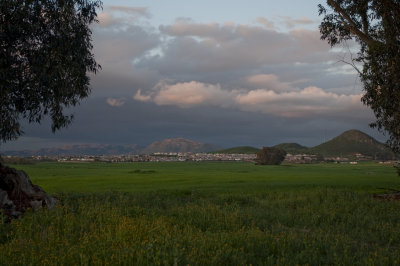 Menifee landscape