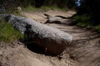_dsc0113Plateau.jpg