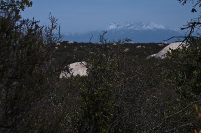_dsc0129Plateau.jpg