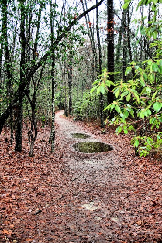 The trail to camp