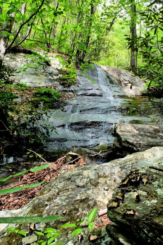 This the highest falls we found on Harris Creek so far About 30 + Ft.