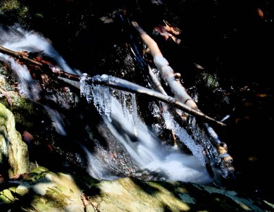 At the foot of the 1st Falls