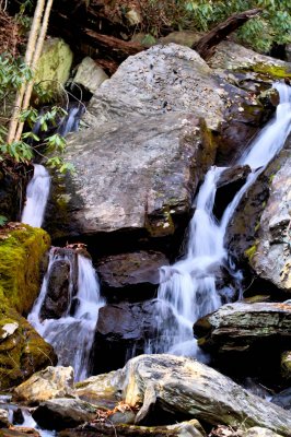 Bottom of The Cascades/Falls,  Sum New Pictures Of Little Bullhead Cr