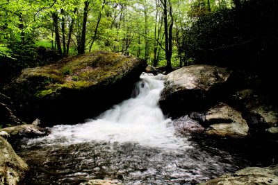 Spring Picture of Upper Cascades On Fox Creek VA. About 6 to 8 Ft.