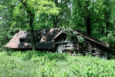 The only old home places steal standing in the back county of Stone Mt