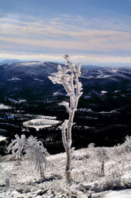 Some Picture I made on White Top Mountain VA Jan-2- 2010