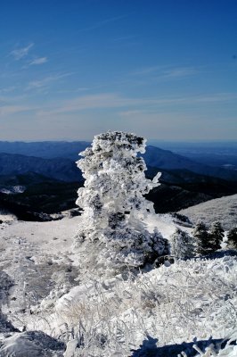 Some Picture I made on White Top Mountain VA Jan-2- 2010