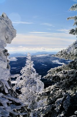 Some Picture I made on White Top Mountain VA Jan-2- 2010